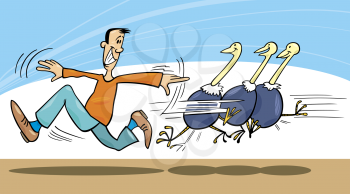Royalty Free Clipart Image of a Man Running With Ostriches Behind Him