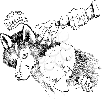 Royalty Free Clipart Image of a Dog Being Groomed