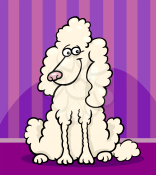 Cartoon Illustration of Funny Purebred White Poodle against Wall at Home
