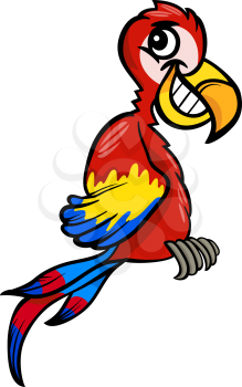 Cartoon Illustration of Funny Macaw Parrot Bird Clip Art