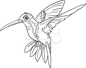 Black and white cartoon illustration of funny hummingbird bird animal character coloring book page