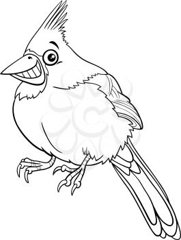 Black and white cartoon illustration of funny northern red cardinal bird animal character coloring book page