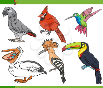 Cartoon illustration of funny birds animal species characters set