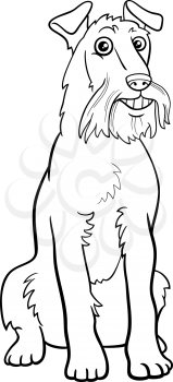 Black and white cartoon illustration of Irish Terrier purebred dog animal character coloring book page