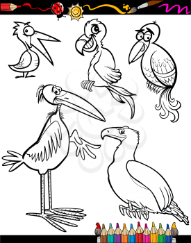 Coloring Book or Page Cartoon Illustration Set of Black and White Birds Animals Mascot Characters for Children