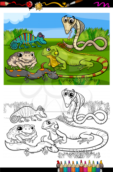 Coloring Book or Page Cartoon Illustration of Black and White Funny Reptiles and Amphibians Group for Children