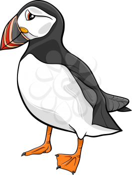 Cartoon Illustration of Funny Atlantic Puffin Bird