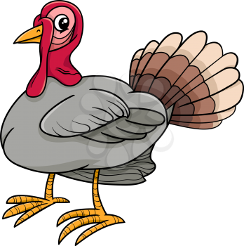 Cartoon Illustration of Turkey Farm Bird Animal Character