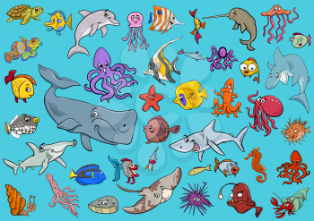 Cartoon Illustrations of Sea Life Animals and Fish Characters Group