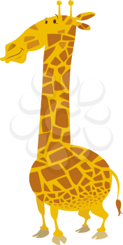 Cartoon Illustration of Giraffe Safari Animal Character