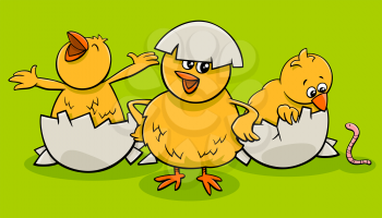 Cartoon Illustration of Little Chicks Characters Hatching from Eggs