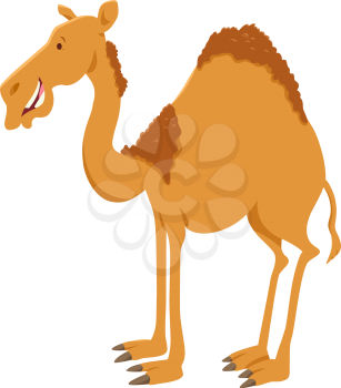 Cartoon Illustration of Dromedary Camel Funny Animal Character