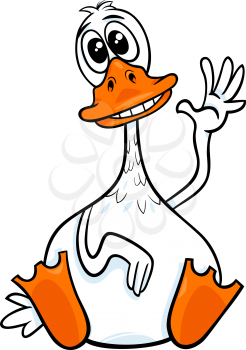 Cartoon Illustration of Funny Duck Farm Animal Character