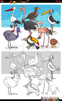 Cartoon Illustration of Funny Birds Animal Characters Group Coloring Book Page