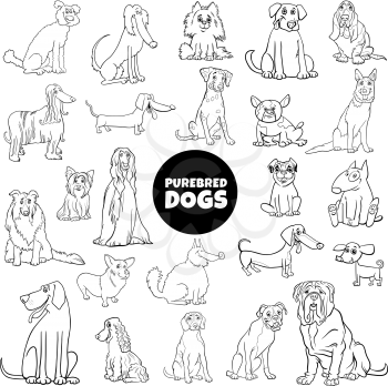 Black and White Cartoon Illustration of Purebred Dogs Animal Characters Large Set Coloring Book Page
