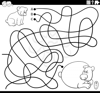 Black and white cartoon illustration of lines maze puzzle game with baby bear animal character and his mother coloring book page