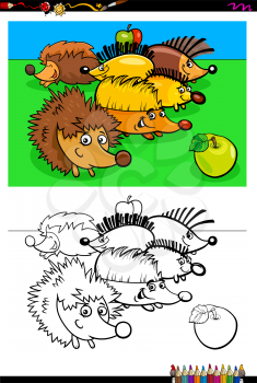 Cartoon Illustration of Funny Hedgehogs Animal Characters Coloring Book Activity