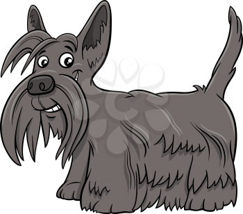 Cartoon illustration of Scottish Terrier purebred dog animal character