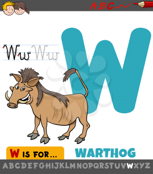 Educational Cartoon Illustration of Letter W from Alphabet with Warthog Animal Character for Children 