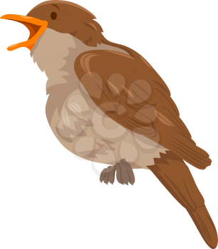Cartoon Illustration of Nightingale Bird Funny Wild Animal Character