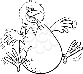 Black and white cartoon illustration of funny little chick hatching from egg coloring book page