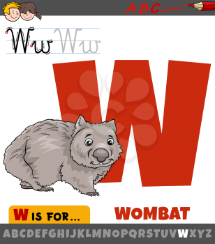 Educational cartoon illustration of letter W from alphabet with wombat animal character for children 