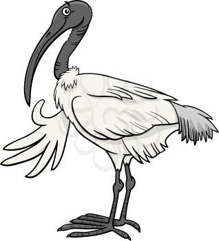 Cartoon illustration of funny ibis bird animal character