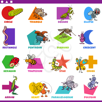 Educational cartoon illustration of basic geometric shapes with captions and insects animal characters for preschool and elementary age children