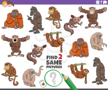 Cartoon illustration of finding two same pictures educational game with wild animals characters