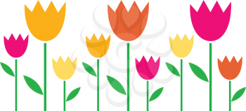 Fresh cute colorful Tulips isolated on white. Vector