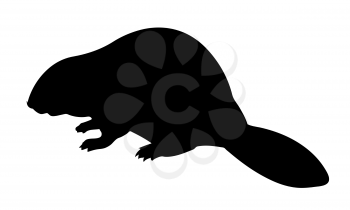 Royalty Free Clipart Image of a Beaver Silhouette