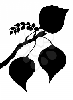 Royalty Free Clipart Image of a Poplar Branch