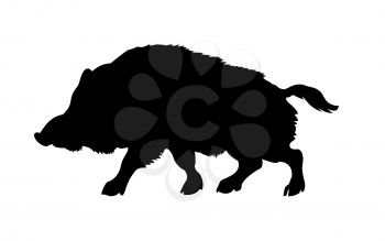 Royalty Free Clipart Image of a Wild Boar