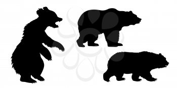 Royalty Free Clipart Image of a Set of Bear Silhouettes