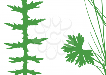 Royalty Free Clipart Image of Herbs