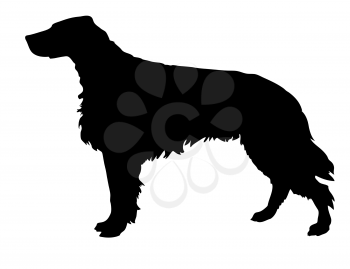 Royalty Free Clipart Image of an Irish Setter