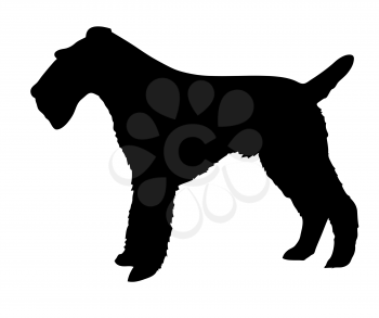 Royalty Free Clipart Image of a Fox Terrier