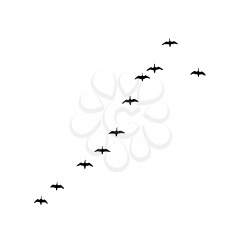 Royalty Free Clipart Image of a Flock of Birds