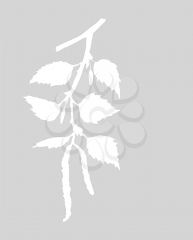 Royalty Free Clipart Image of a Birch Branch