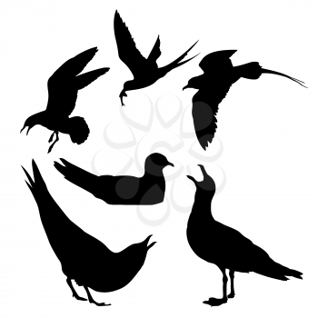 Royalty Free Clipart Image of Seagull Silhouettes