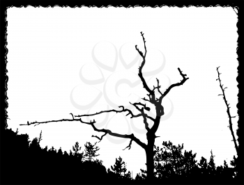 Royalty Free Clipart Image of an Old Tree