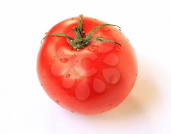 red tomato on white background