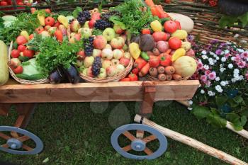 cart with vegetable and fruit on rural market