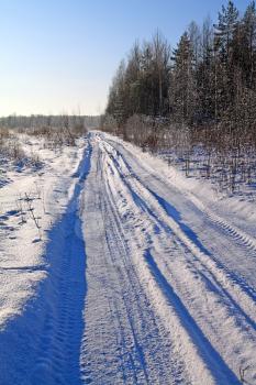 rural road in winter wood