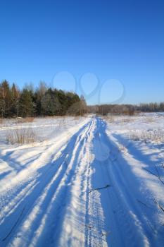 winter road near by wood