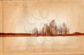 birch copse on old paper