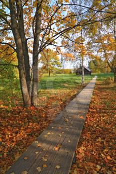 wooden lane in autumn park