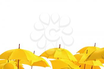 yellow umbrellas on white background
