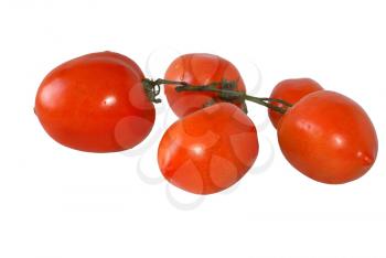 Branch of mature tomatoes on a white background.                    