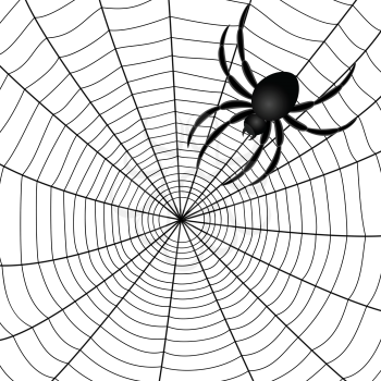 Spider web abstract drawing, vector illustration EPS 8